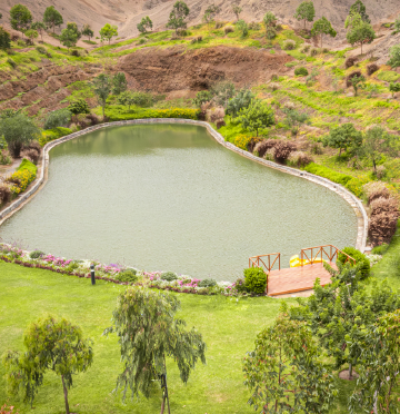 ElPolo_Web_LandingMobile